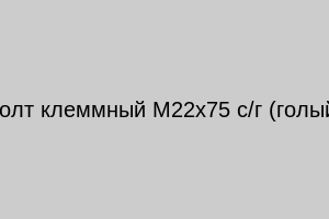 Болт клеммный М22х75 новый (голый)