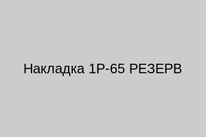 Пластрон 1Р-65 (АпАТэК) новый