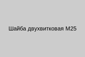 Шайба двухвитковая М25