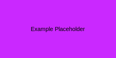 Plain Placeholder Example